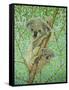 Top of the Tree-Pat Scott-Framed Stretched Canvas