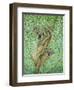 Top of the Tree-Pat Scott-Framed Premium Giclee Print