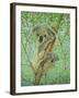 Top of the Tree-Pat Scott-Framed Giclee Print