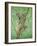 Top of the Tree-Pat Scott-Framed Giclee Print