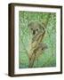 Top of the Tree-Pat Scott-Framed Giclee Print