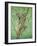 Top of the Tree-Pat Scott-Framed Giclee Print