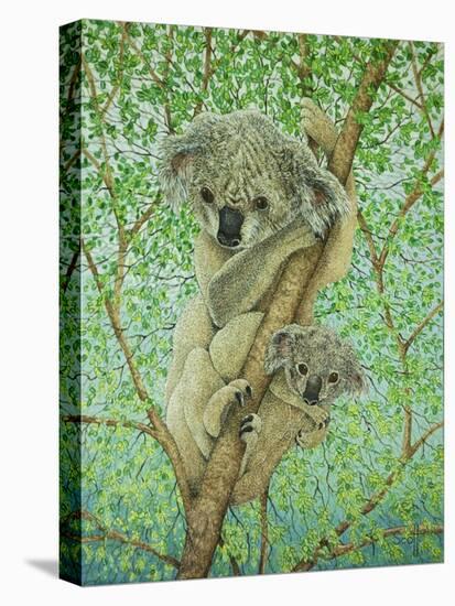 Top of the Tree-Pat Scott-Stretched Canvas