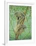 Top of the Tree-Pat Scott-Framed Giclee Print