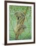 Top of the Tree-Pat Scott-Framed Giclee Print