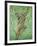 Top of the Tree-Pat Scott-Framed Giclee Print