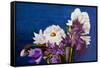 Top Of The Vase-Ruth Palmer-Framed Stretched Canvas