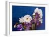 Top Of The Vase-Ruth Palmer-Framed Art Print