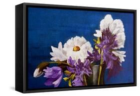 Top Of The Vase-Ruth Palmer-Framed Stretched Canvas