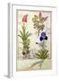 Top Row: Orchid and Fumitory or Bleeding Heart. Bottom Row: Hedera and Iris-Robinet Testard-Framed Giclee Print