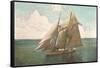 Top-Sail Schooner-null-Framed Stretched Canvas