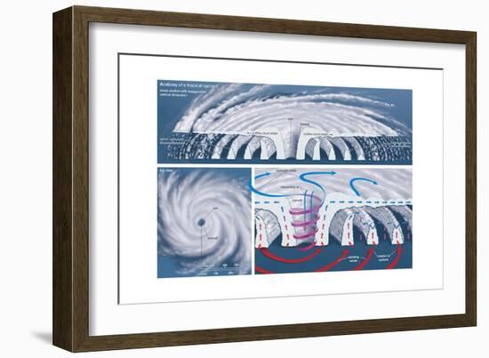 Top View and Vertical Cross Section of a Tropical Cyclone. Atmosphere, Climate, Earth Sciences-Encyclopaedia Britannica-Framed Art Print