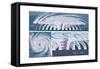 Top View and Vertical Cross Section of a Tropical Cyclone. Atmosphere, Climate, Earth Sciences-Encyclopaedia Britannica-Framed Stretched Canvas