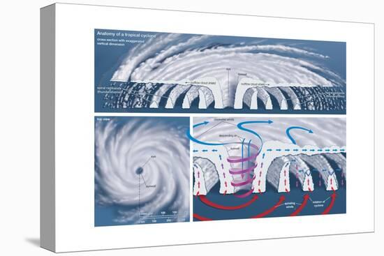 Top View and Vertical Cross Section of a Tropical Cyclone. Atmosphere, Climate, Earth Sciences-Encyclopaedia Britannica-Stretched Canvas