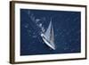 Top View of a Sailboat in the Peaceful Blue Ocean-Nosnibor137-Framed Photographic Print