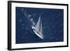 Top View of a Sailboat in the Peaceful Blue Ocean-Nosnibor137-Framed Photographic Print