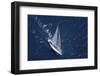 Top View of a Sailboat in the Peaceful Blue Ocean-Nosnibor137-Framed Photographic Print