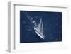 Top View of a Sailboat in the Peaceful Blue Ocean-Nosnibor137-Framed Photographic Print