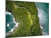 Top View of Exotic Hill in Brazil-Filipe Frazao-Mounted Photographic Print