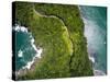 Top View of Exotic Hill in Brazil-Filipe Frazao-Stretched Canvas