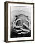 Top View of Man Clutching His Head-Eric O'Connell-Framed Photographic Print