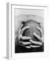 Top View of Man Clutching His Head-Eric O'Connell-Framed Photographic Print