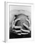 Top View of Man Clutching His Head-Eric O'Connell-Framed Photographic Print