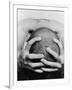 Top View of Man Clutching His Head-Eric O'Connell-Framed Photographic Print