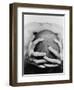 Top View of Man Clutching His Head-Eric O'Connell-Framed Photographic Print