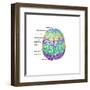 Top View of Normal Brain, Illustration-Gwen Shockey-Framed Art Print