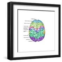 Top View of Normal Brain, Illustration-Gwen Shockey-Framed Art Print