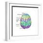 Top View of Normal Brain, Illustration-Gwen Shockey-Framed Art Print