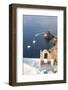 Top View of the Blue Aegean Sea from the Typical Village of Oia, Santorini, Cyclades-Roberto Moiola-Framed Photographic Print
