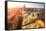 Top View of the Historical Centre of Krakow, Poland.-De Visu-Framed Stretched Canvas