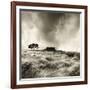 Top Withens Near Haworth, Yorkshire 1977-Fay Godwin-Framed Giclee Print