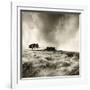 Top Withens Near Haworth, Yorkshire 1977-Fay Godwin-Framed Giclee Print