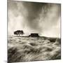 Top Withens Near Haworth, Yorkshire 1977-Fay Godwin-Mounted Giclee Print
