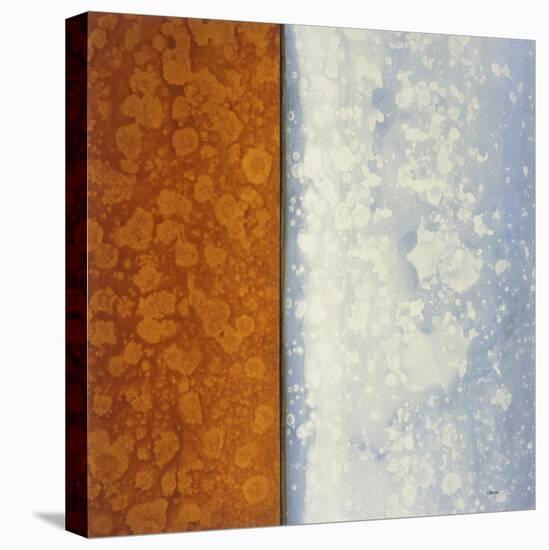 Topaz-Robert Charon-Stretched Canvas