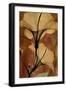 Topaze Opus Hibiscus-Albert Koetsier-Framed Premium Giclee Print