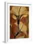 Topaze Opus Hibiscus-Albert Koetsier-Framed Premium Giclee Print