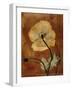 Topaze Opus Iceland Poppy-Albert Koetsier-Framed Art Print