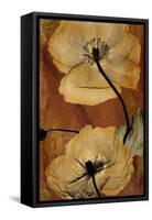 Topaze Opus Iceland Poppy-Albert Koetsier-Framed Stretched Canvas