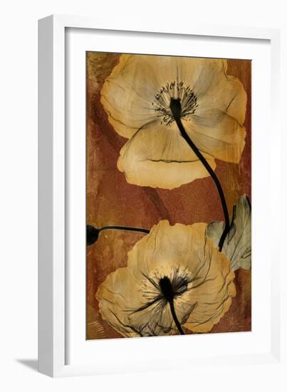 Topaze Opus Iceland Poppy-Albert Koetsier-Framed Premium Giclee Print