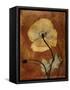 Topaze Opus Iceland Poppy-Albert Koetsier-Framed Stretched Canvas