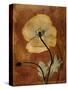 Topaze Opus Iceland Poppy-Albert Koetsier-Stretched Canvas