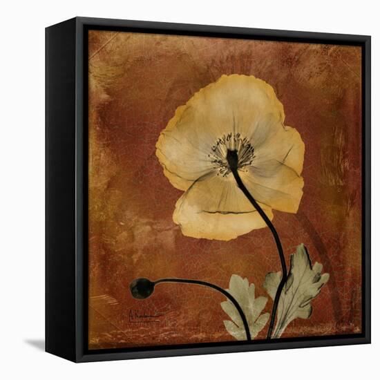 Topaze Opus Iceland Poppy-Albert Koetsier-Framed Stretched Canvas