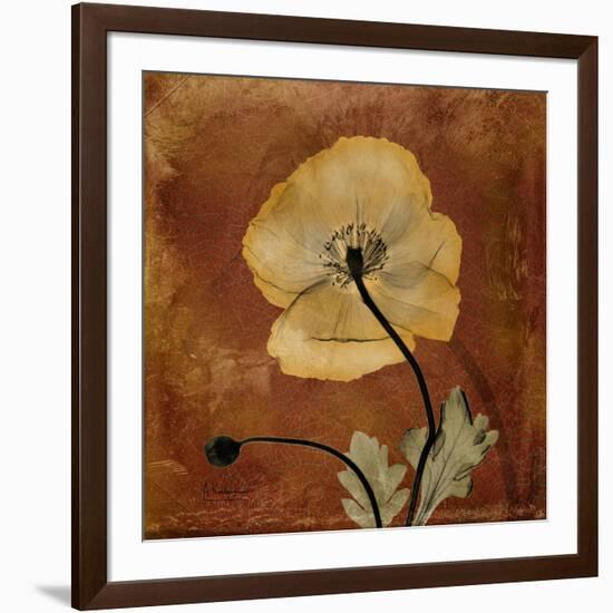 Topaze Opus Iceland Poppy-Albert Koetsier-Framed Art Print