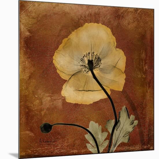 Topaze Opus Iceland Poppy-Albert Koetsier-Mounted Art Print