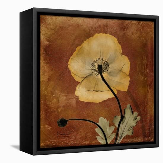 Topaze Opus Iceland Poppy-Albert Koetsier-Framed Stretched Canvas