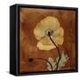 Topaze Opus Iceland Poppy-Albert Koetsier-Framed Stretched Canvas